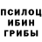 Галлюциногенные грибы мицелий Chyu 561030