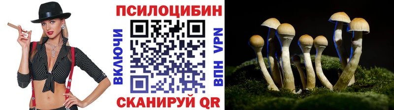 Галлюциногенные грибы прущие грибы  Кизляр 